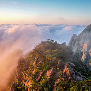 京牌多少钱一个