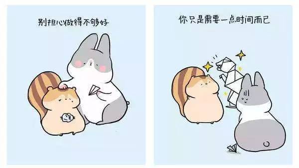 车牌车照