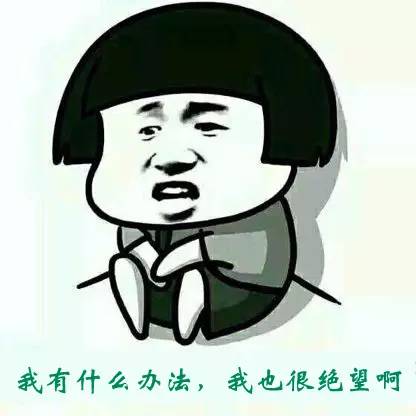 车牌车照