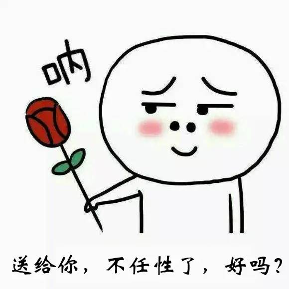 车牌车照