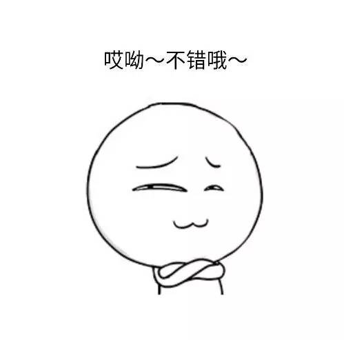 车牌车照