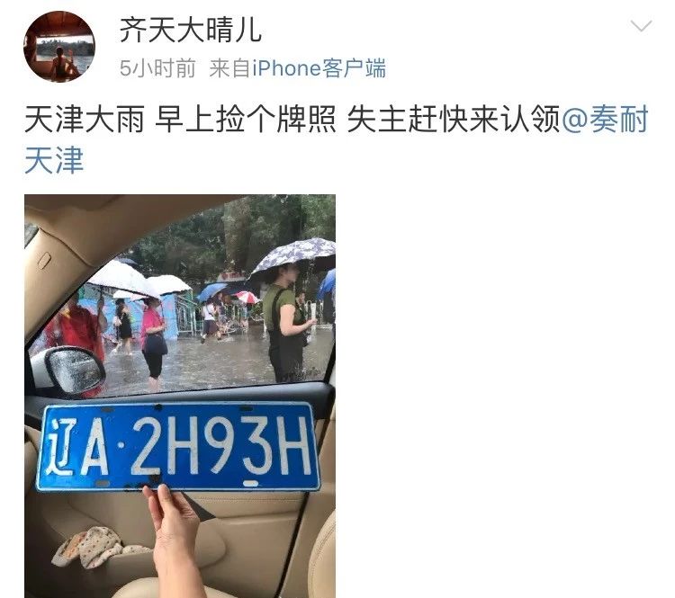 车牌车照