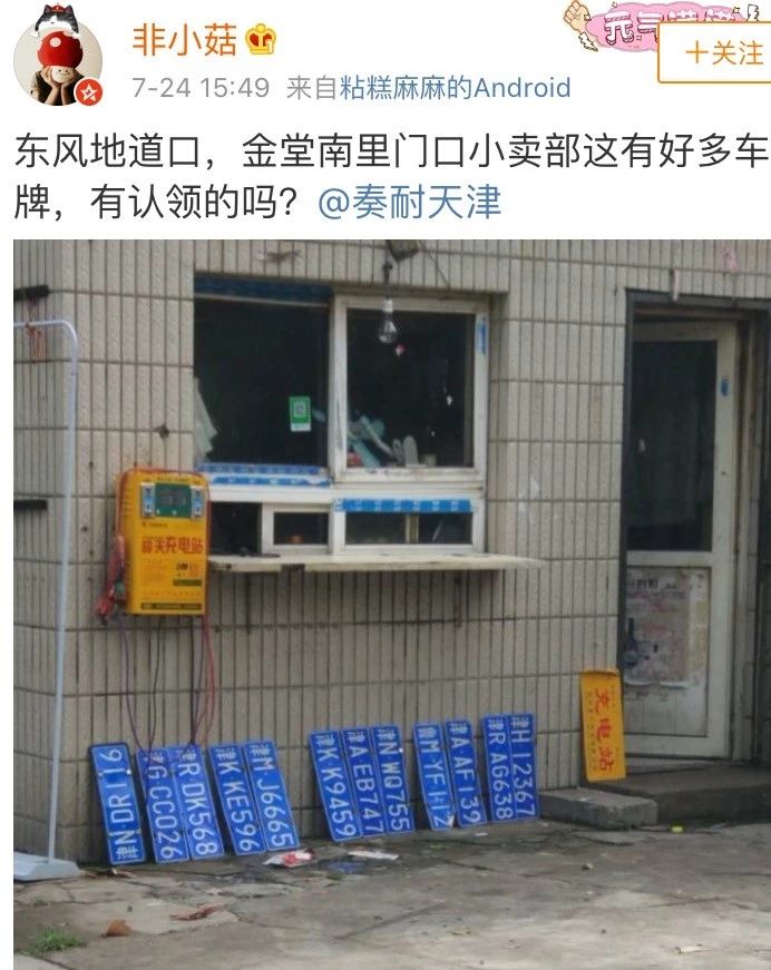 车牌车照