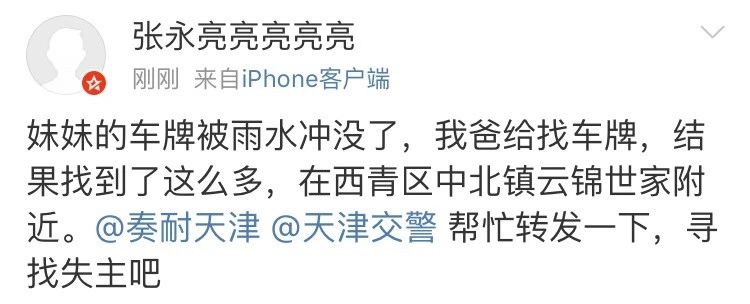 车牌车照
