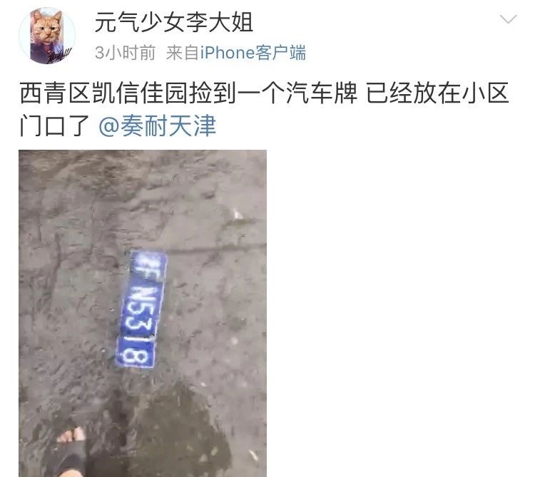 车牌车照
